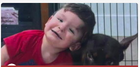 Baby Jaxon, Death, toddler killed in assault case involving teen suspect, San Jose, California